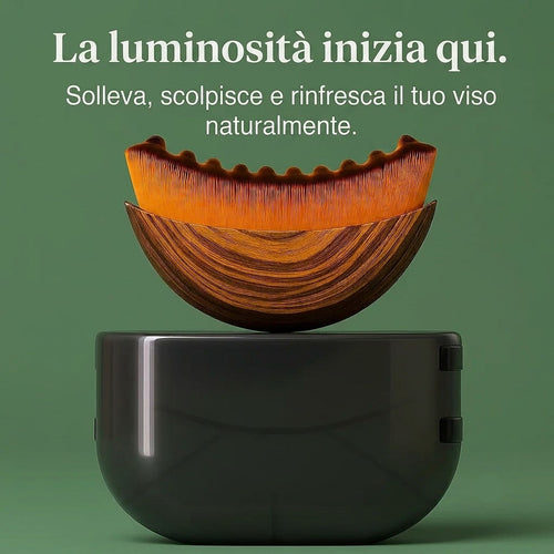 Spazzola Linfodrenante